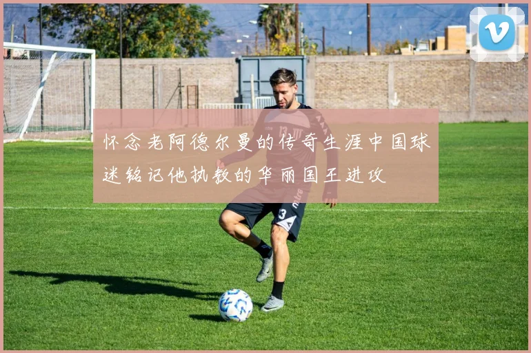 怀念老阿德尔曼的传奇生涯中国球迷铭记他执教的华丽国王进攻