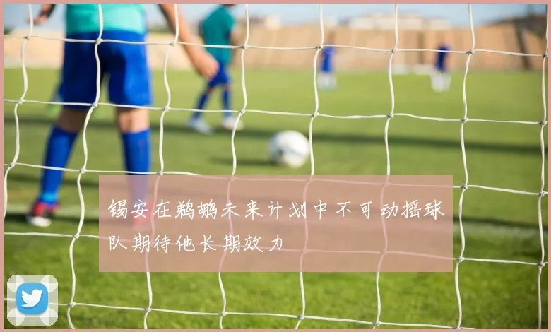 锡安在鹈鹕未来计划中不可动摇球队期待他长期效力